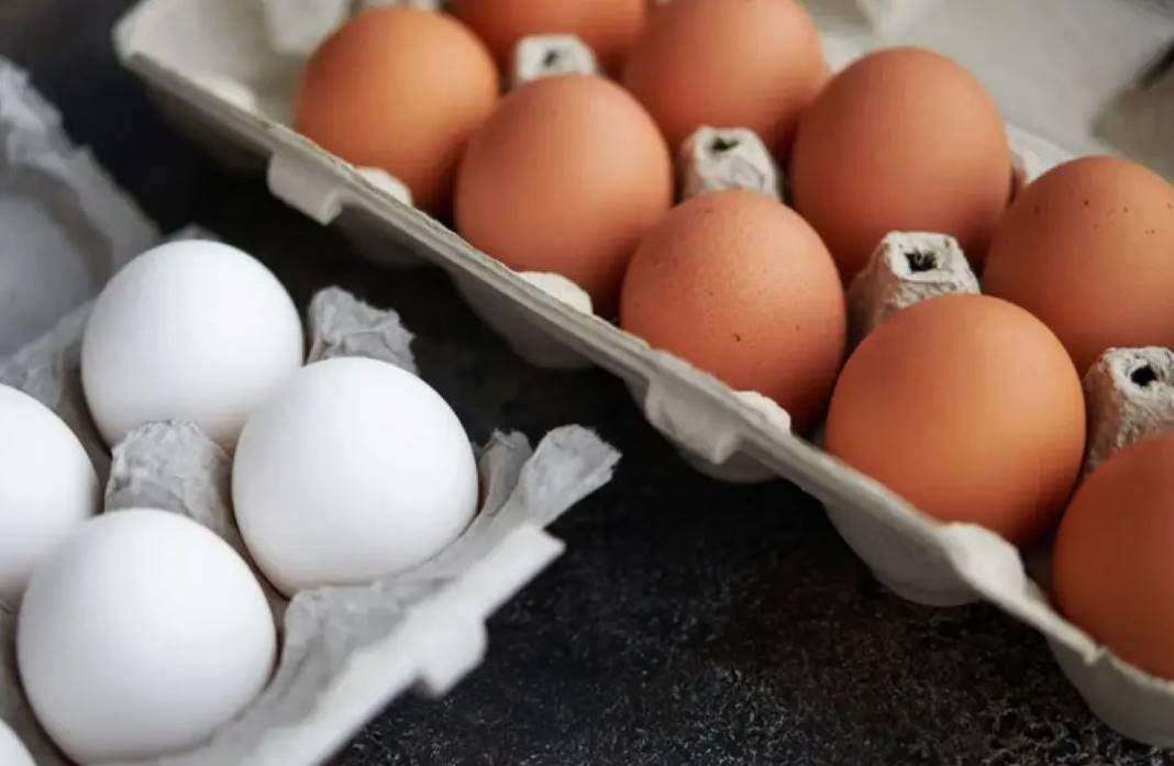 Beyaz mı kahverengi mi? Hangi yumurta daha sağlıklı? 31